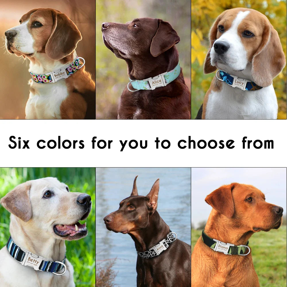 View details for Pet Collar Pet Collar