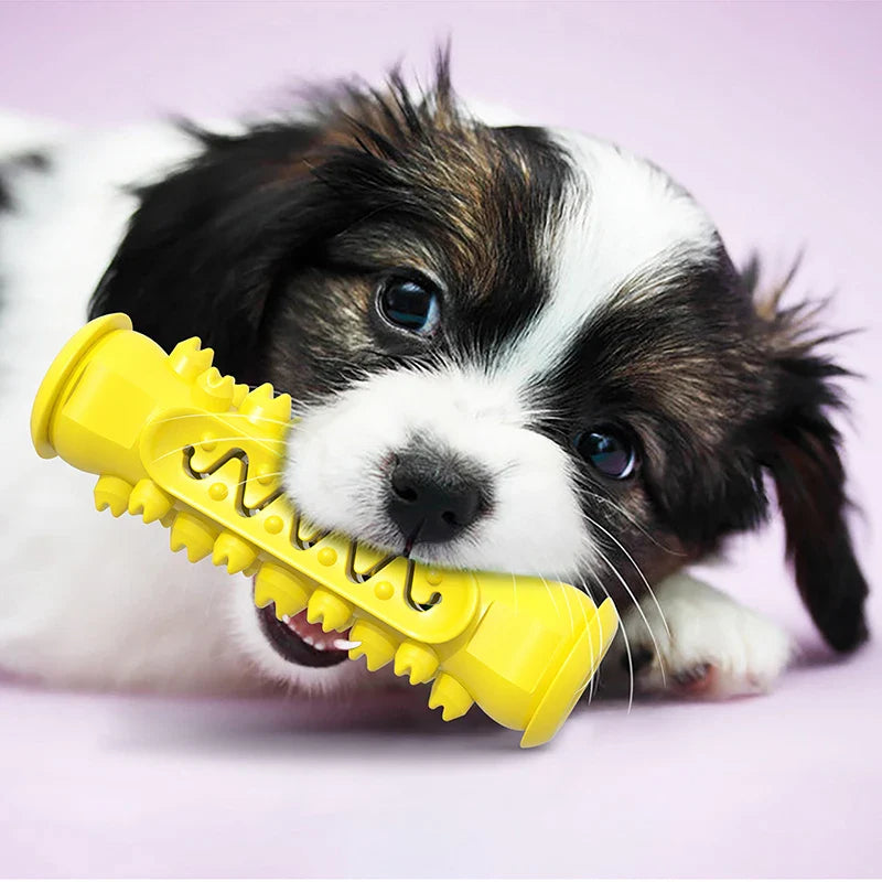 Pet