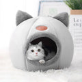 Pet Accessories