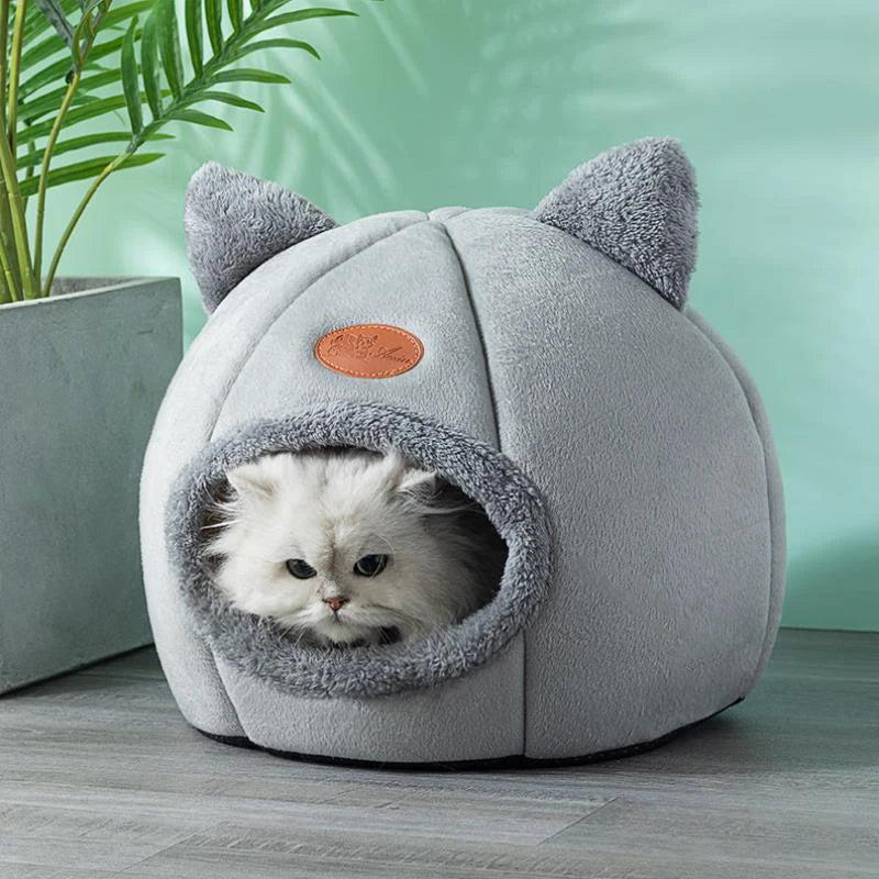 Pet Accessories