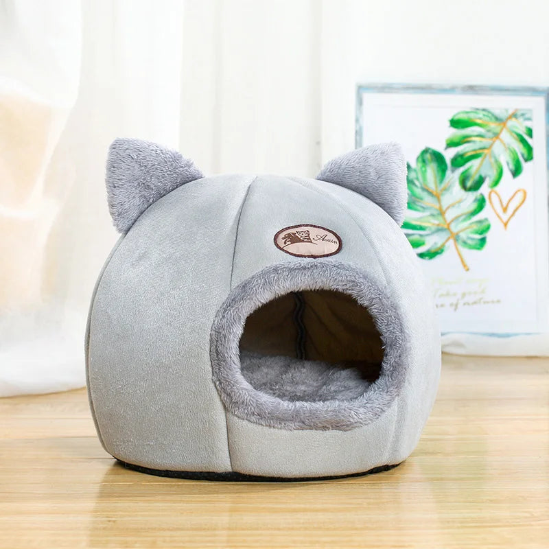 Pet Accessories