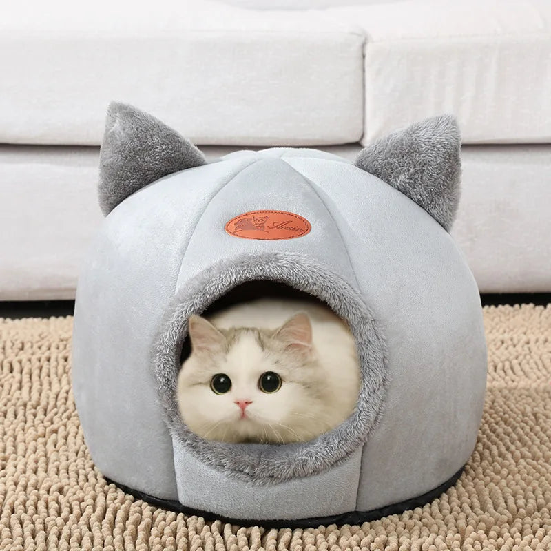 Pet Accessories