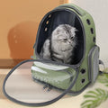 Pet Accessories