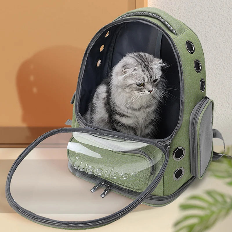 Pet Accessories