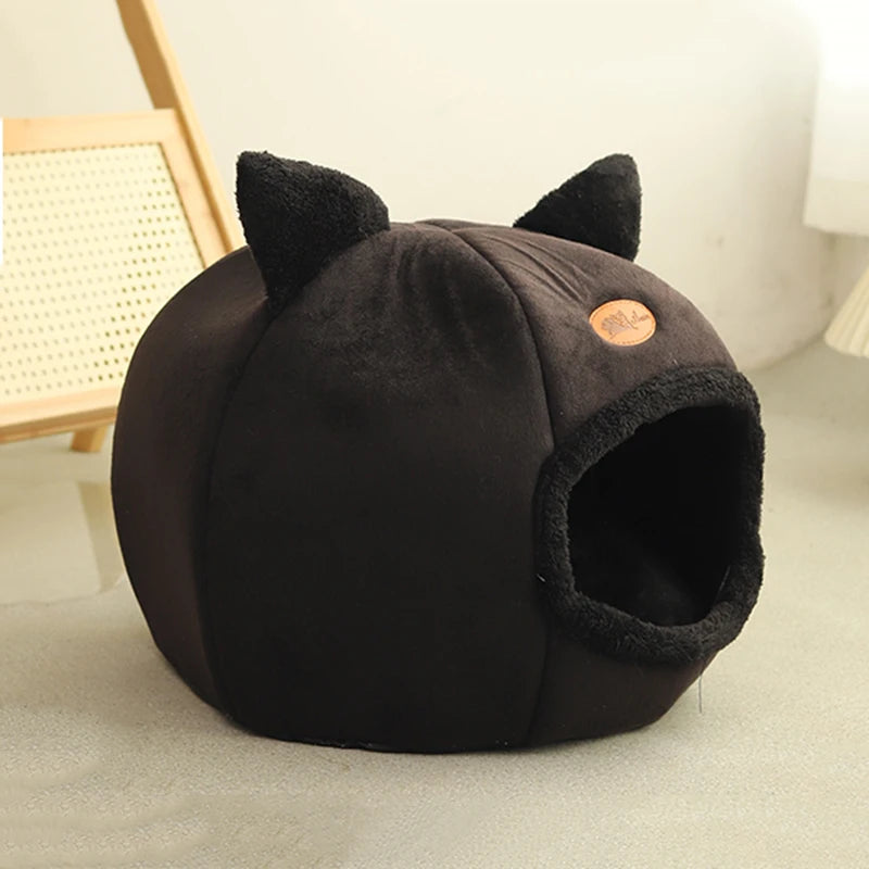 Pet Accessories