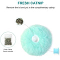 Pet Toy