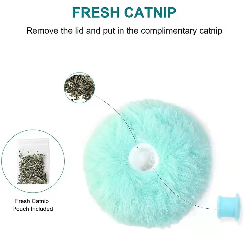 Pet Toy