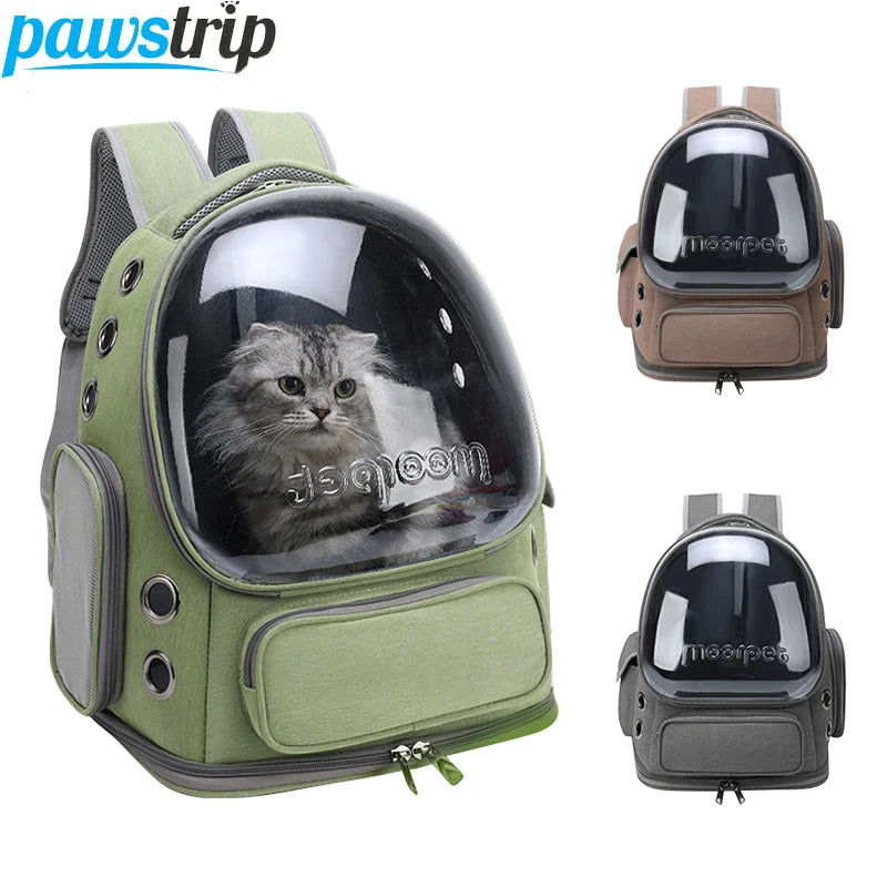 Pet Accessories