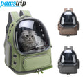 Pet Accessories