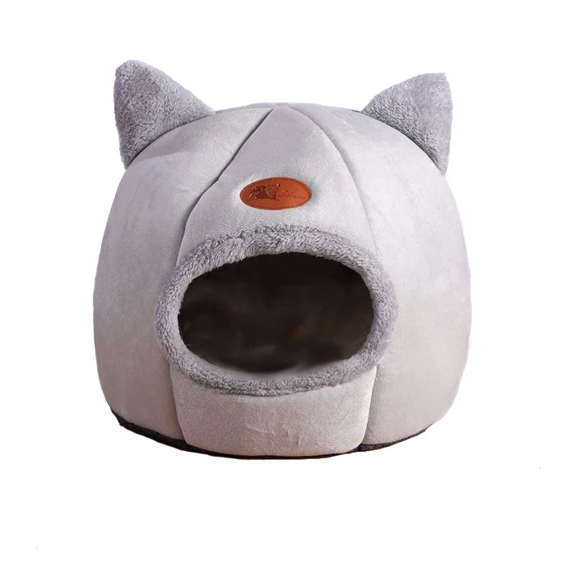 Pet Accessories