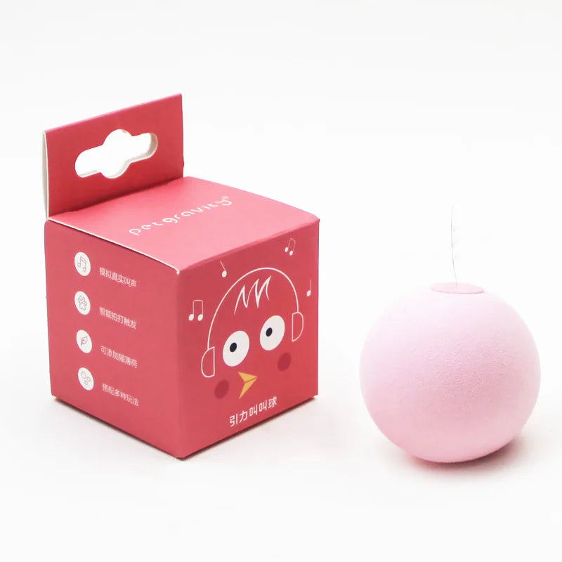 Pet Toy