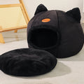 Pet Accessories