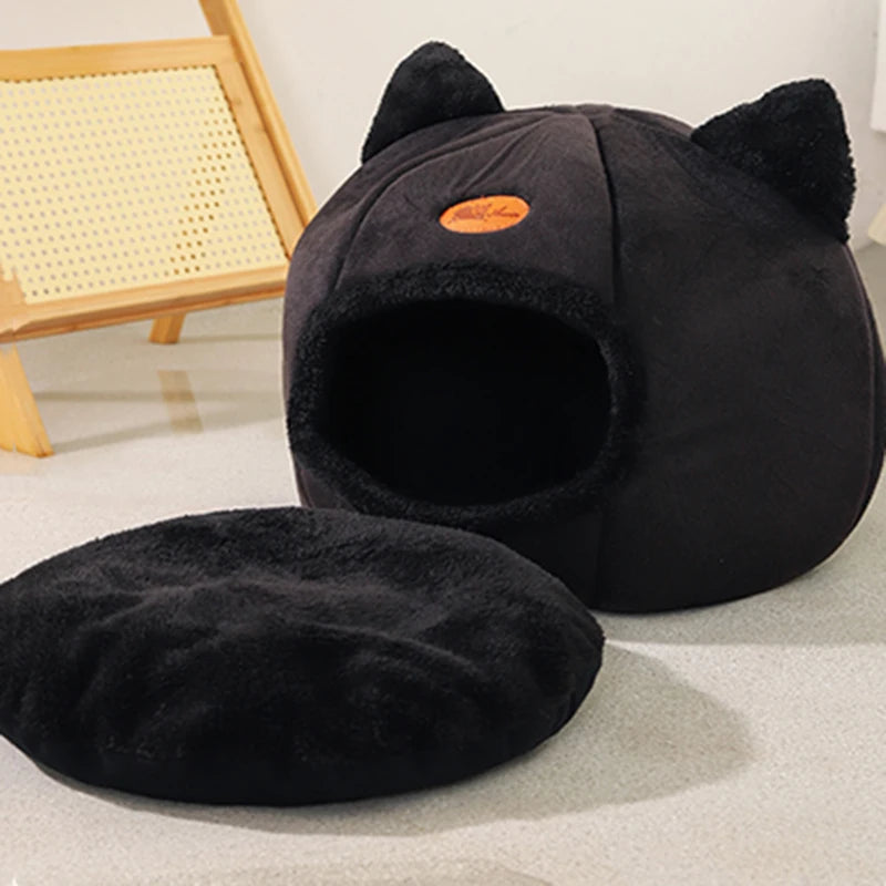 Pet Accessories