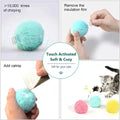 Pet Toy