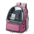 Pet Accessories