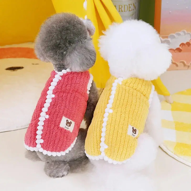 Pet Accessories