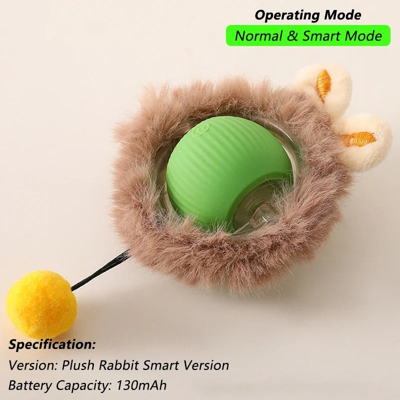 Pet Toy
