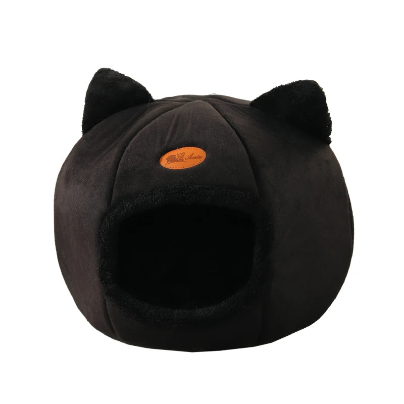 Pet Accessories