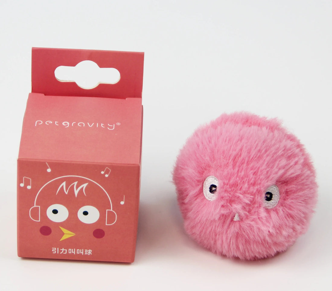 Pet Toy