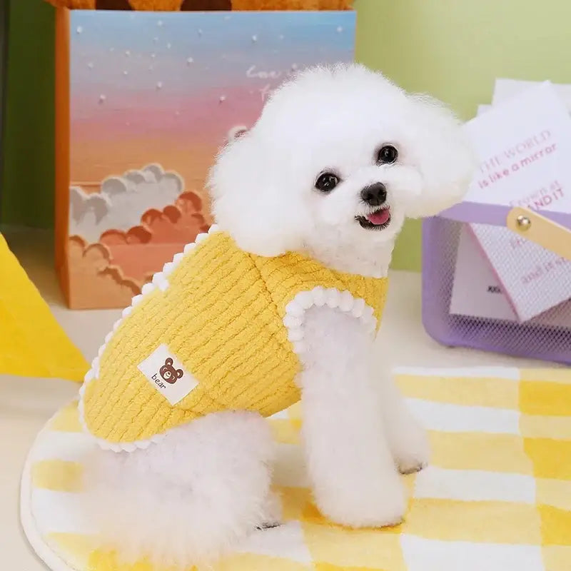 Pet Accessories