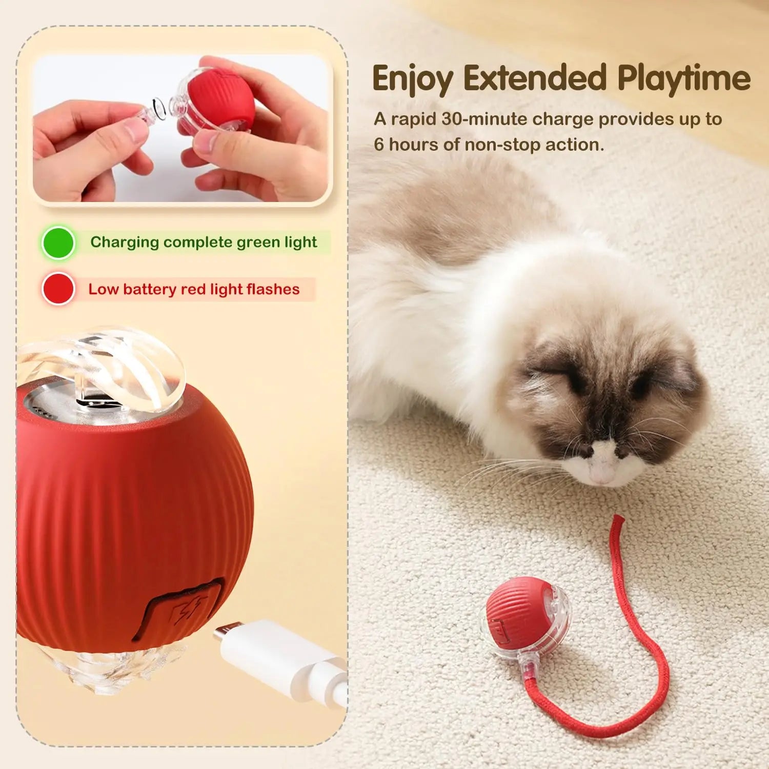 Pet Toy