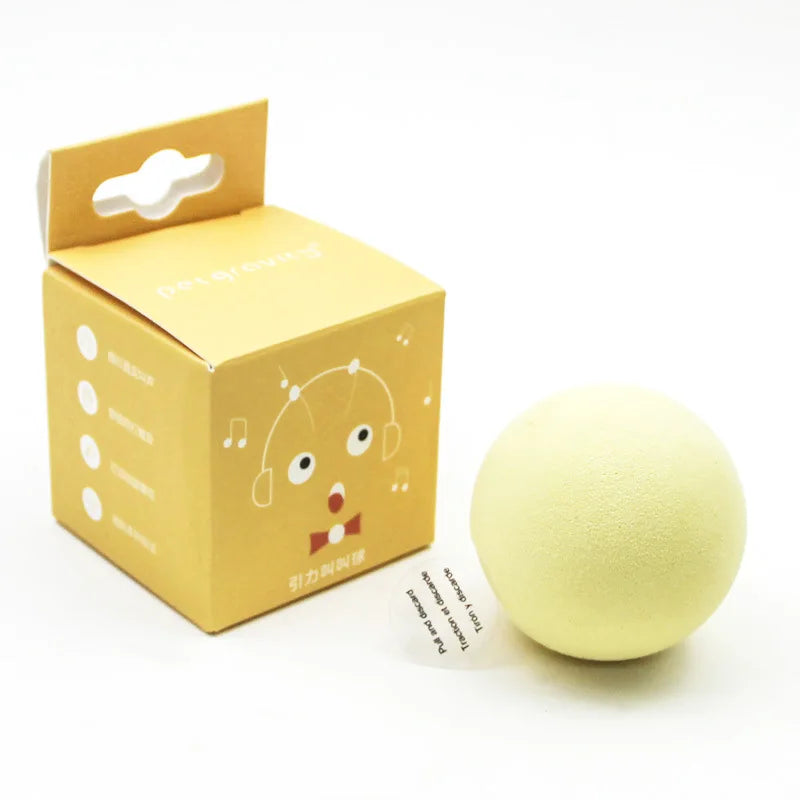 Pet Toy