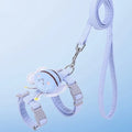 Pet Accessories
