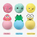 Pet Toy