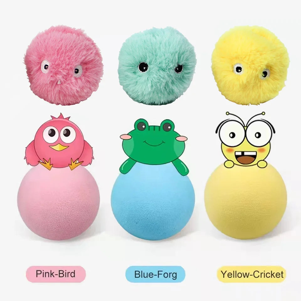 Pet Toy
