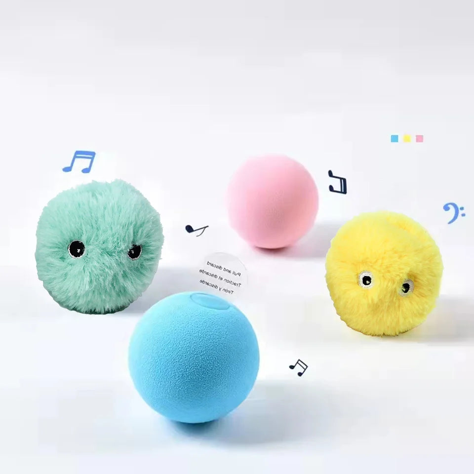 Pet Toy