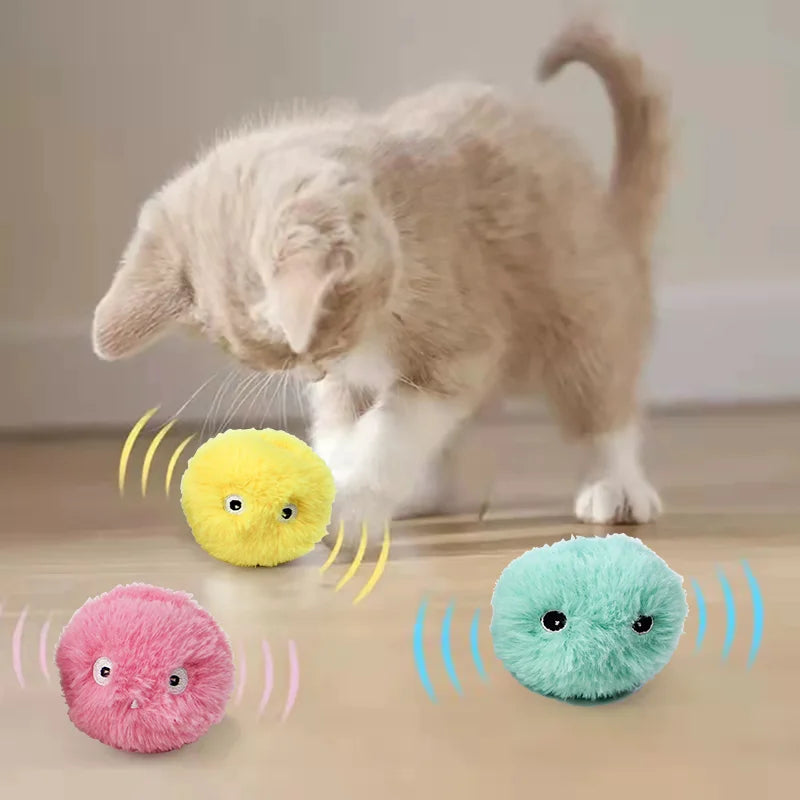 Pet Toy