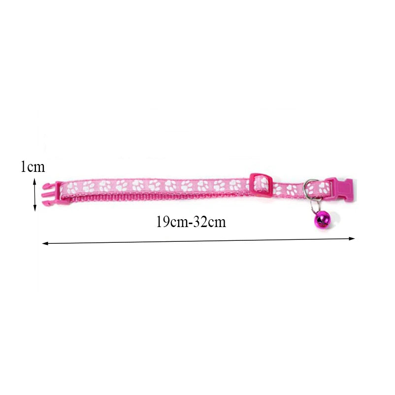 Pet Collar
