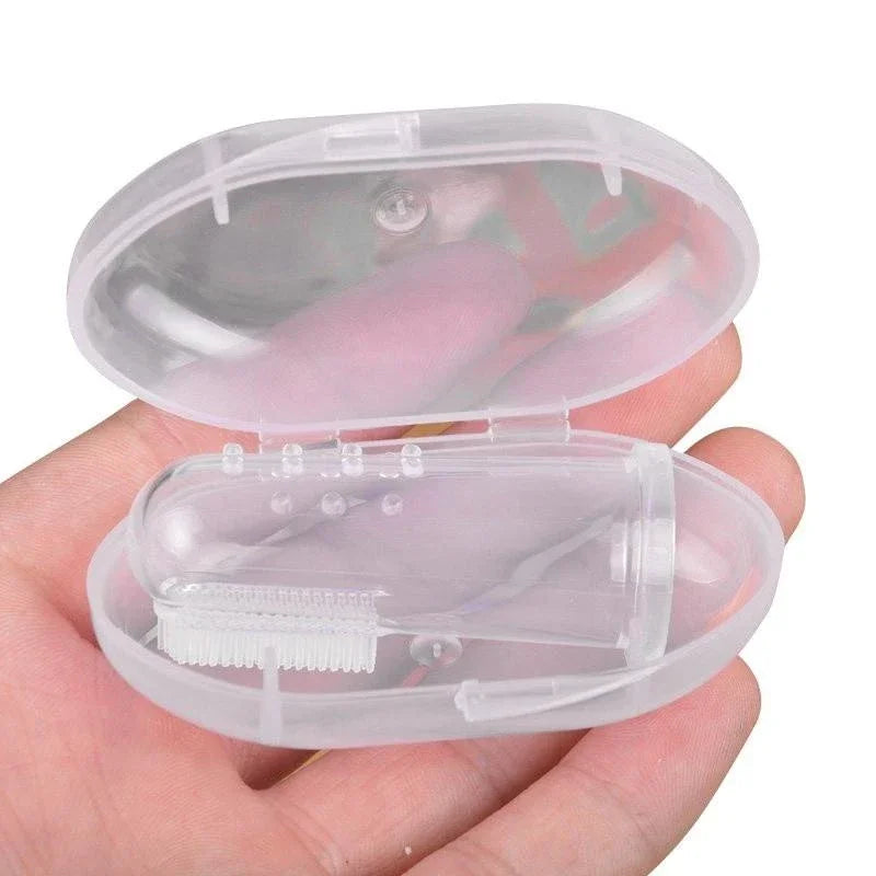 Pet Accessories