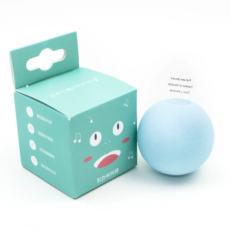 Pet Toy