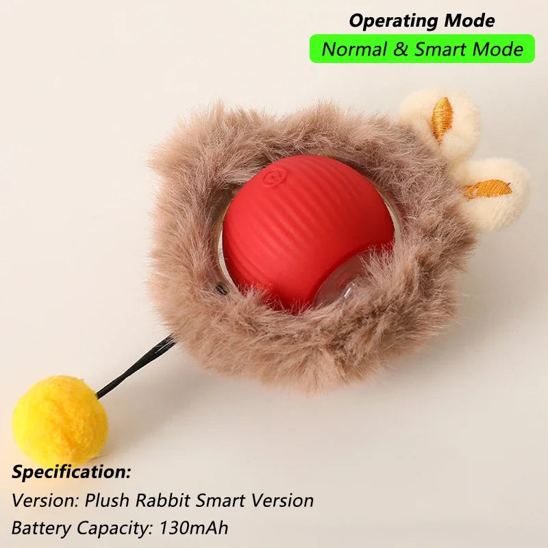 Pet Toy
